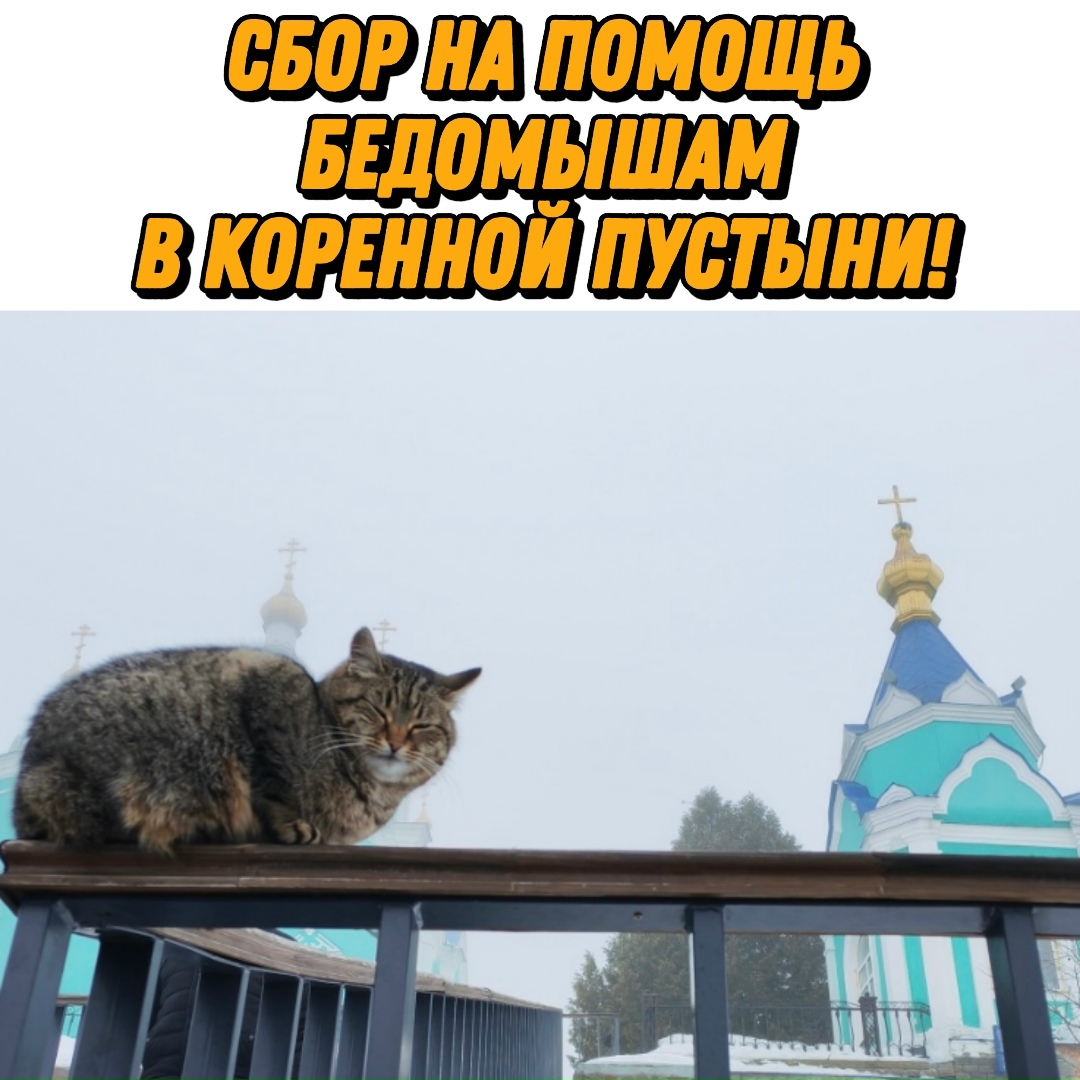 Найдена собака в Курске — фото объявления