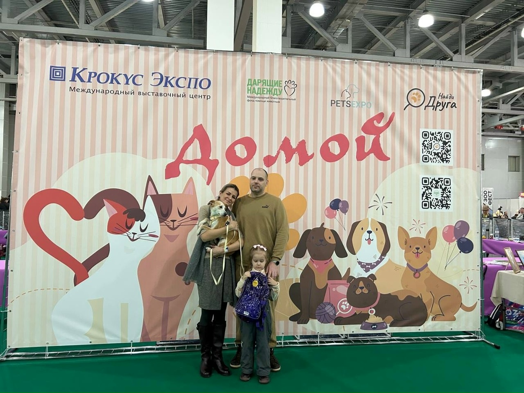 Найдена собака в Курске — фото объявления