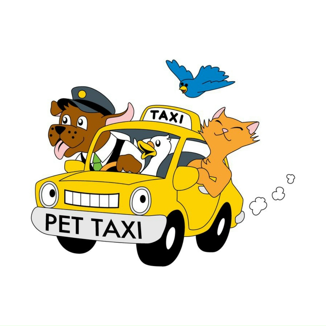 Пропала собака в Курске — фото объявления