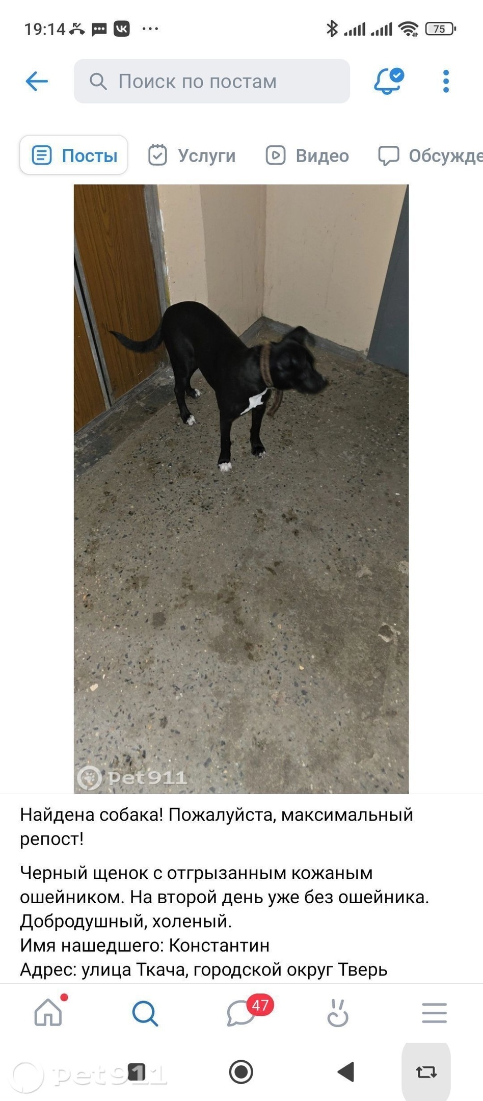 Пропала собака в Твери — фото объявления