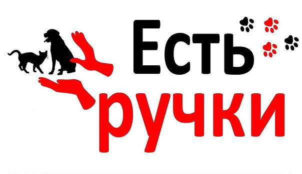 Найдена собака в Брянске — фото объявления