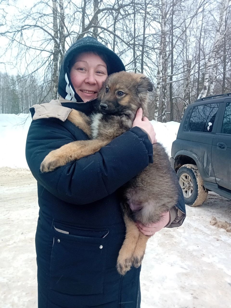 Найдена собака в Иванове — фото объявления