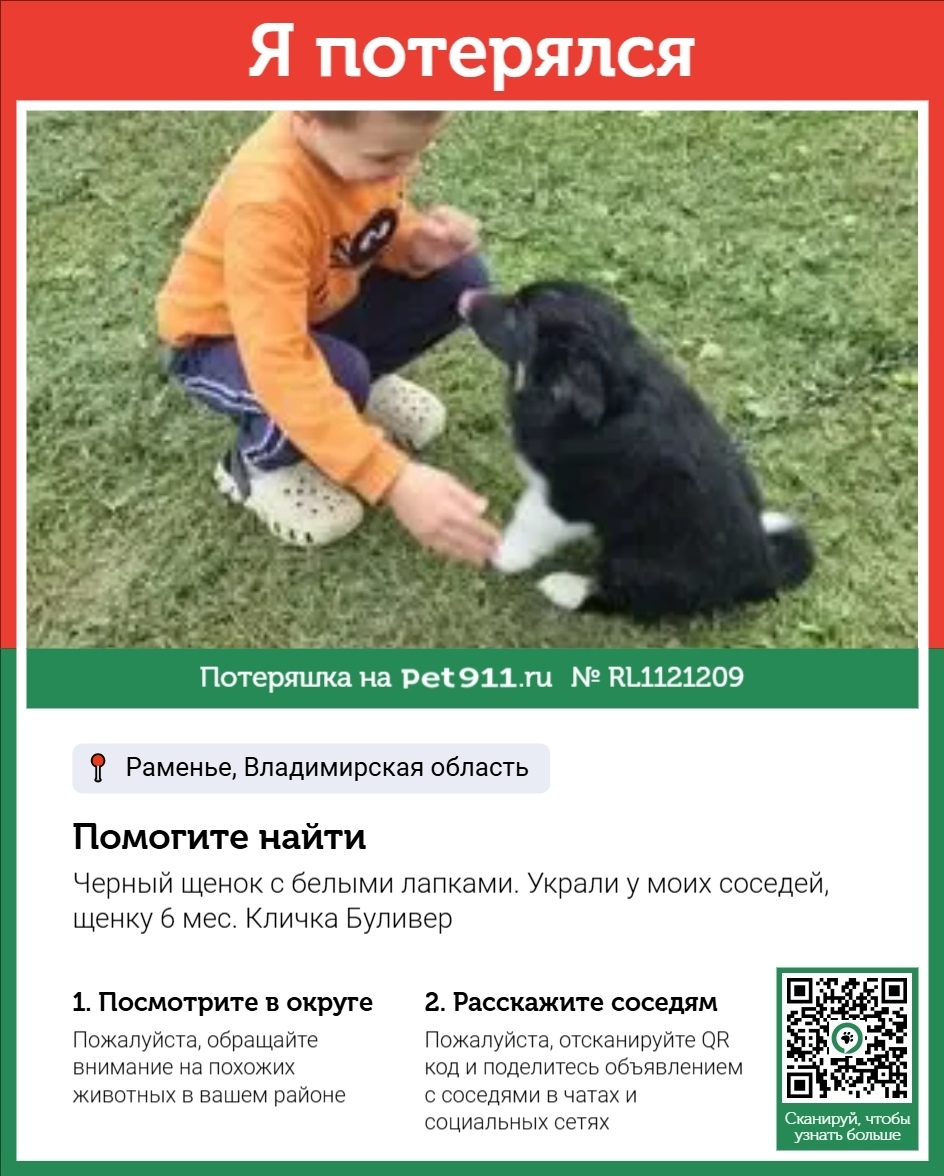 Пропала собака в Владимире — фото объявления