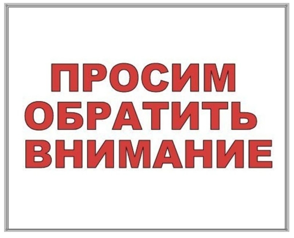 Найдена собака в Владимире — фото объявления
