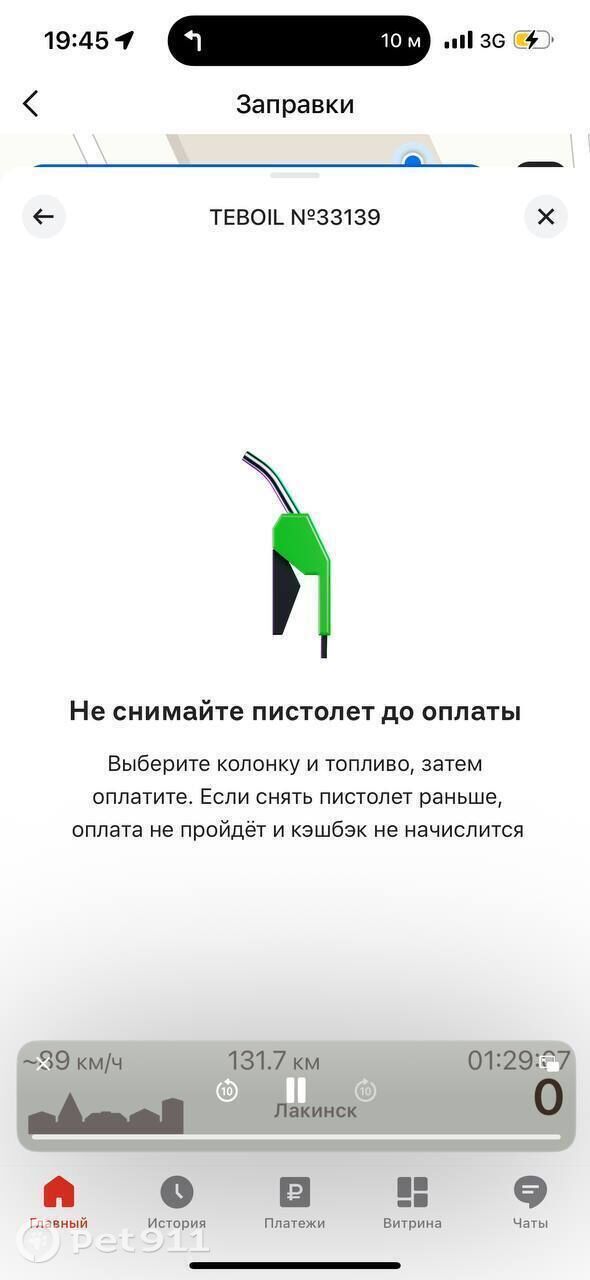 Найдена собака в Владимире — фото объявления