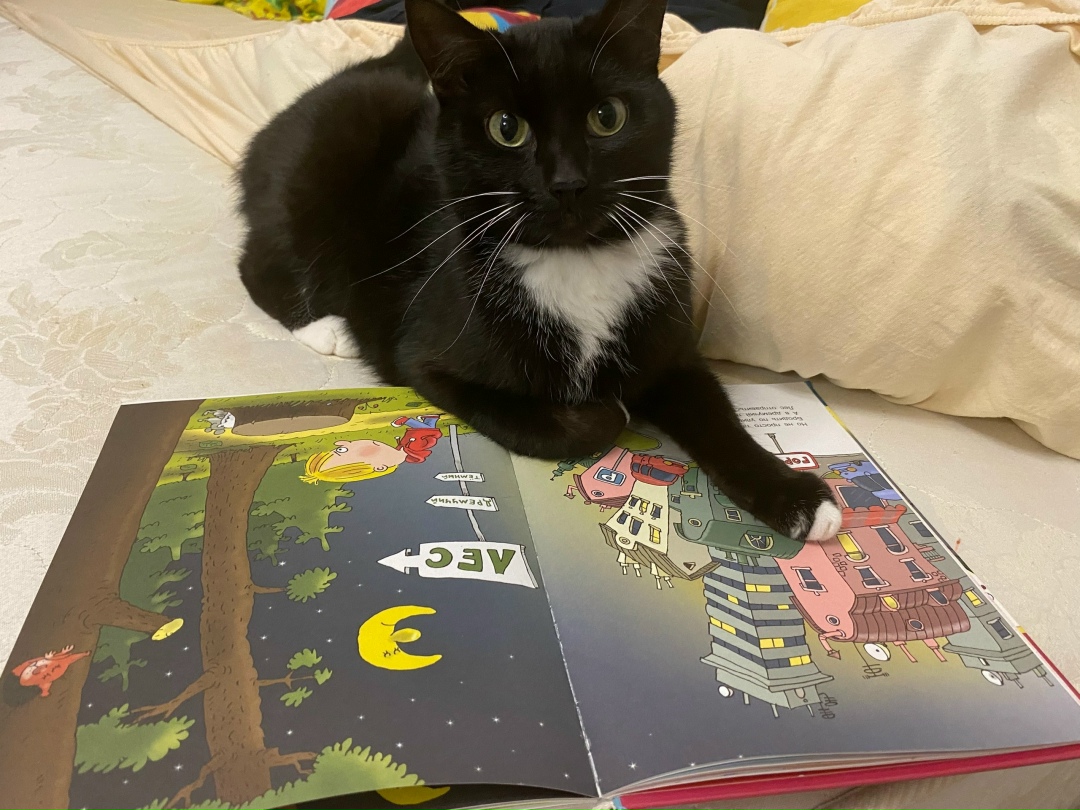 Пропала кошка в Нижнем Тагиле — фото объявления