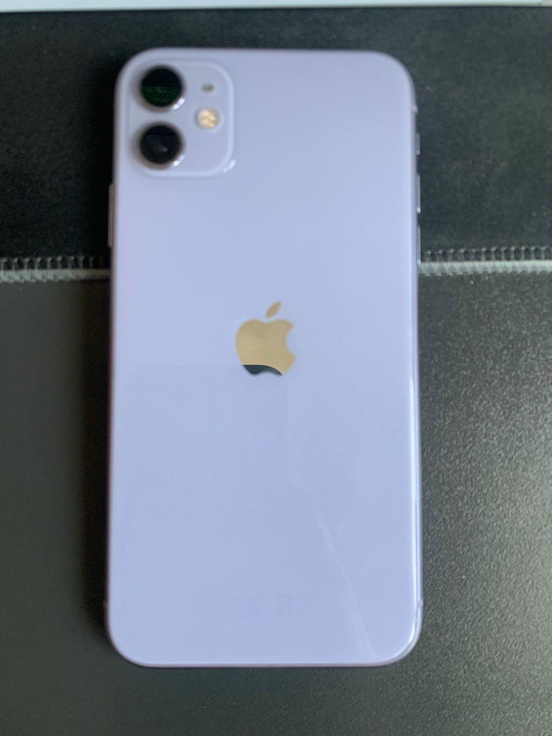 Найдена собака в Нижнем Тагиле — фото объявления