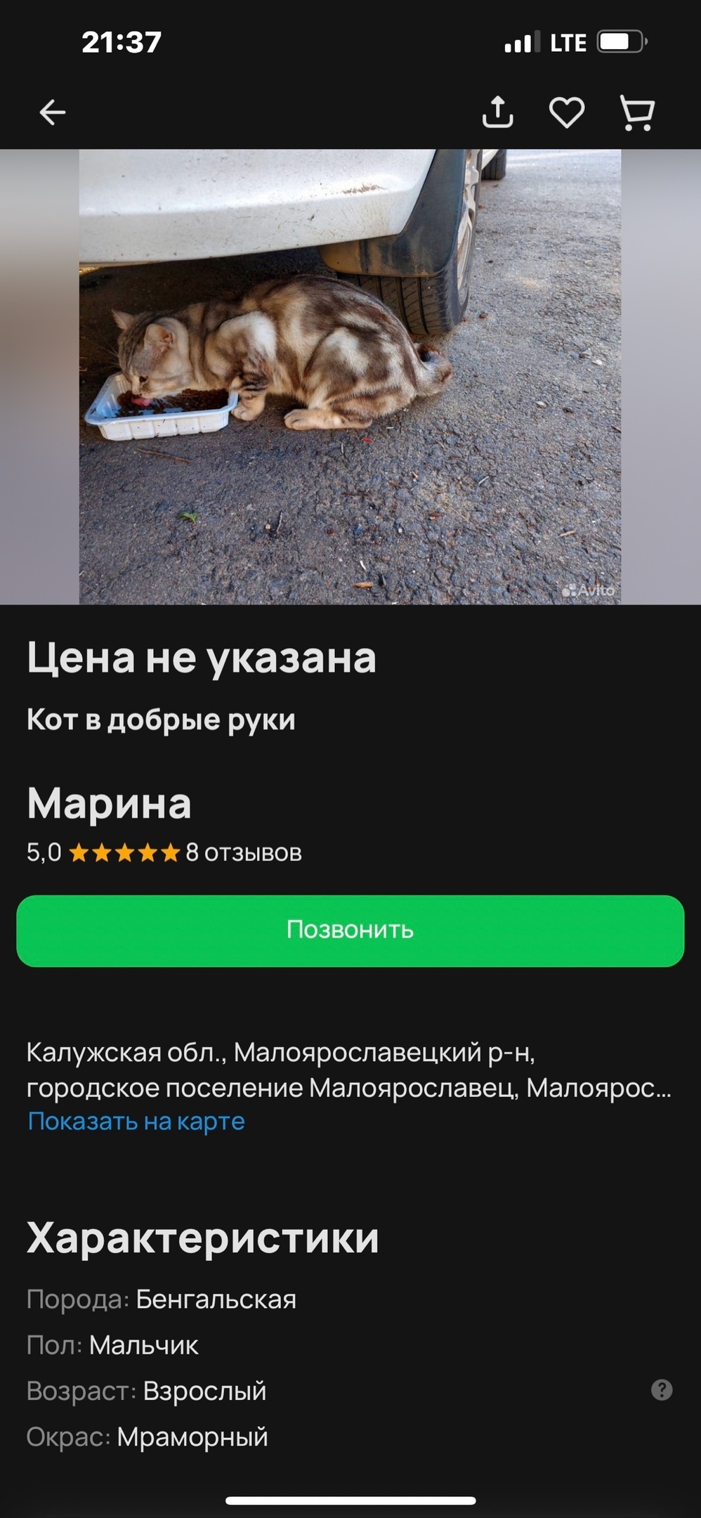 Найдена собака в Калуге — фото объявления