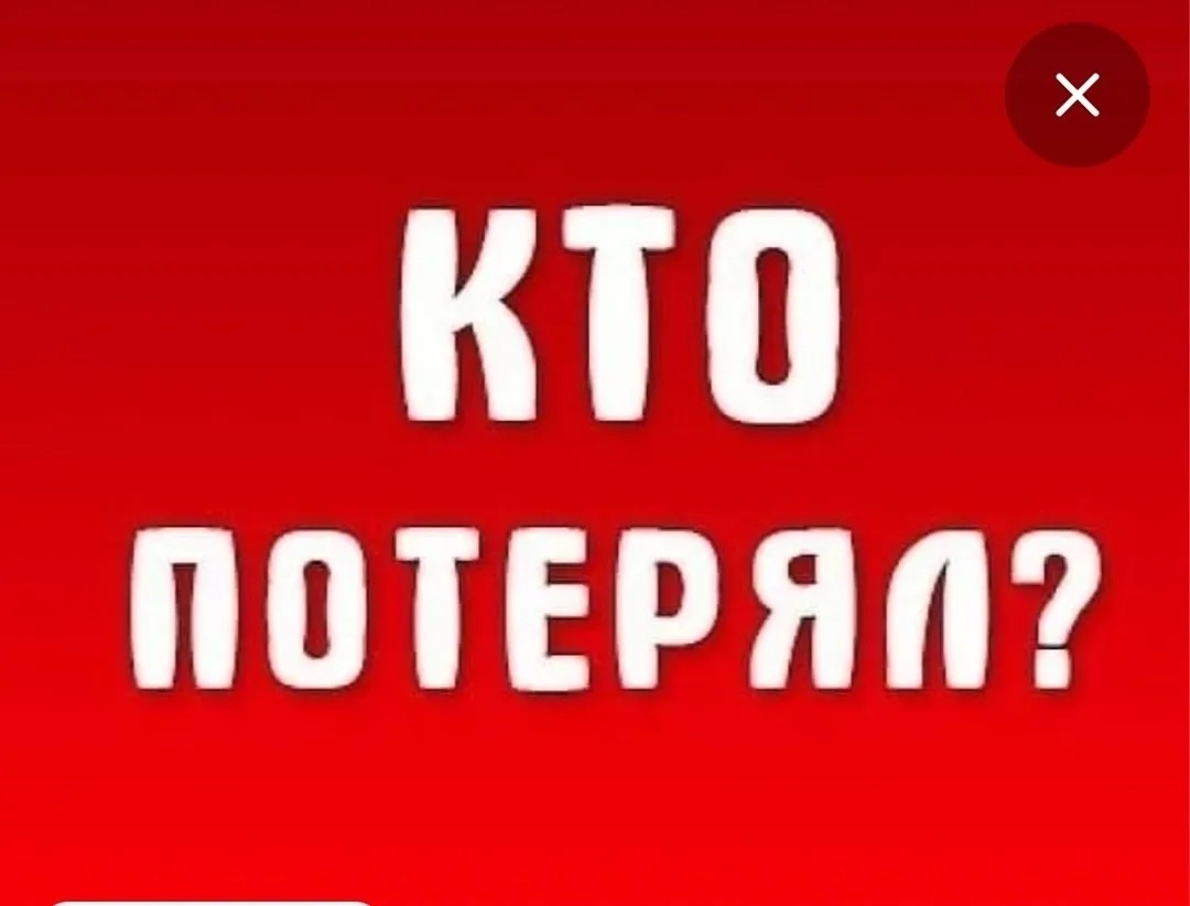 Найдена собака в Калуге — фото объявления