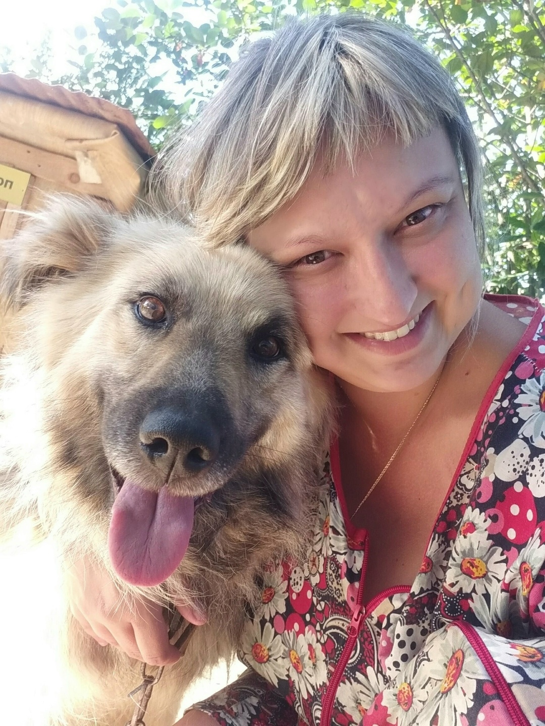 Пропала собака в Калуге — фото объявления