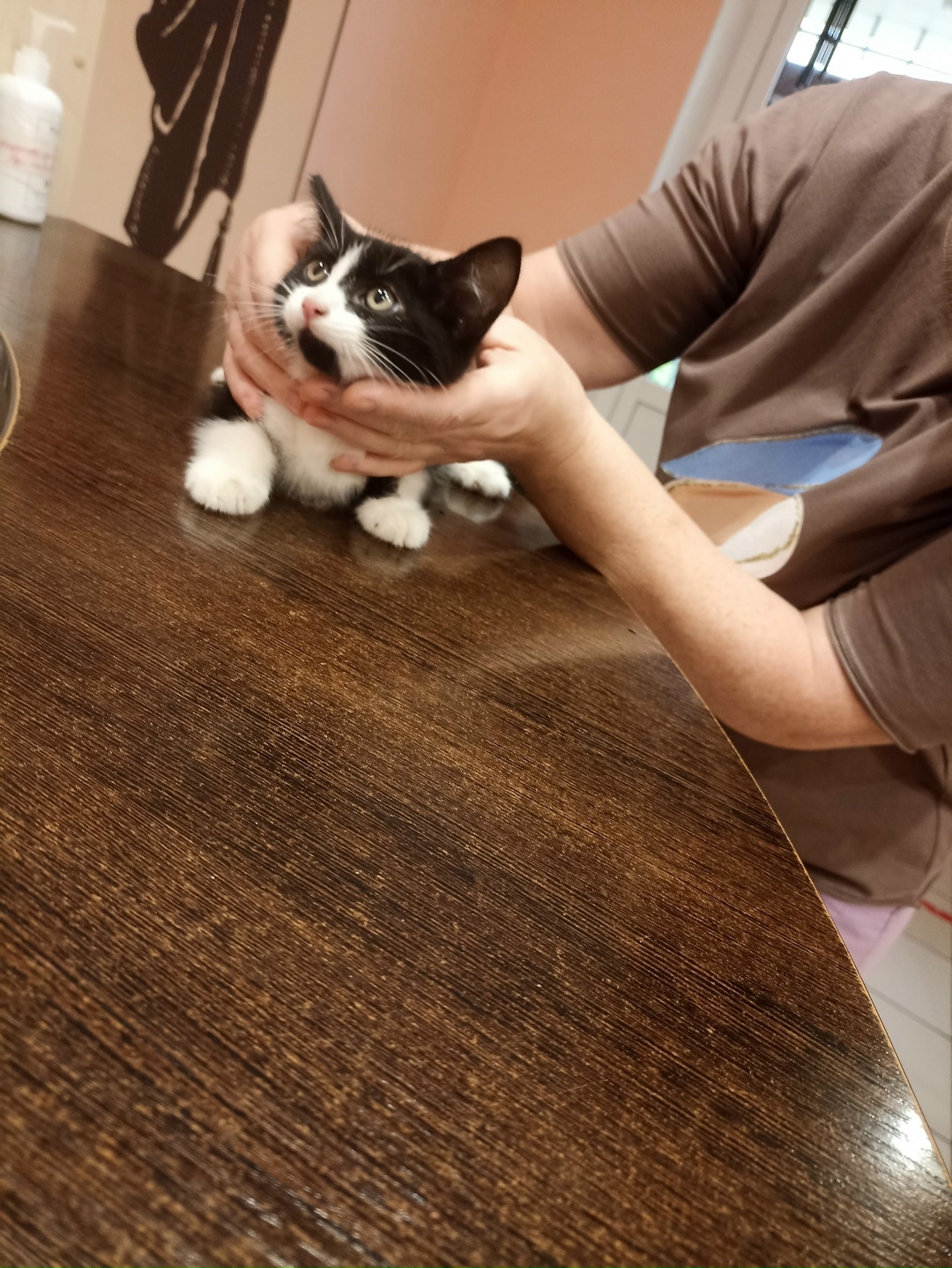 Найдена собака в Калуге — фото объявления