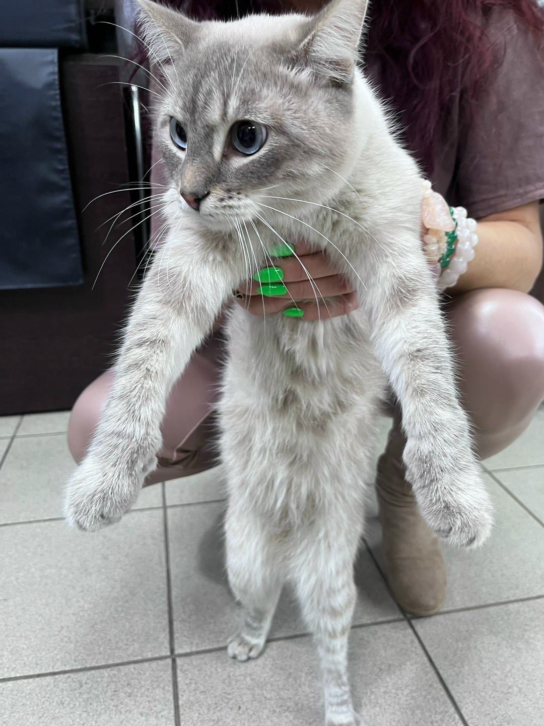 Найдена собака в Смоленске — фото объявления