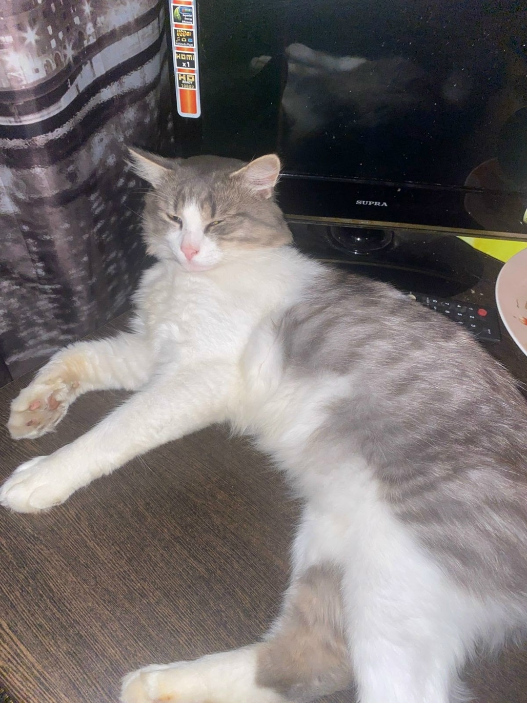 Найдена собака в Смоленске — фото объявления