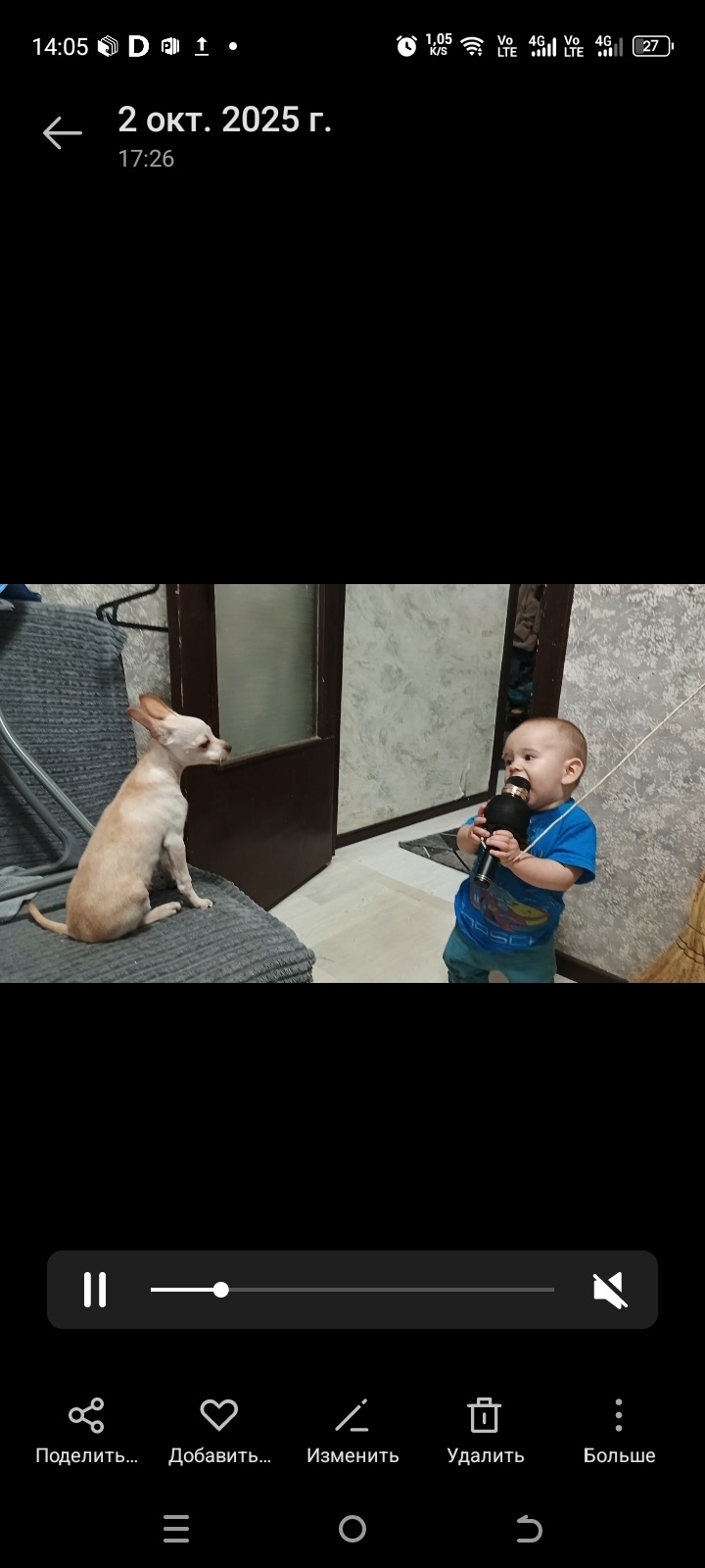 Пропала собака в Смоленске — фото объявления