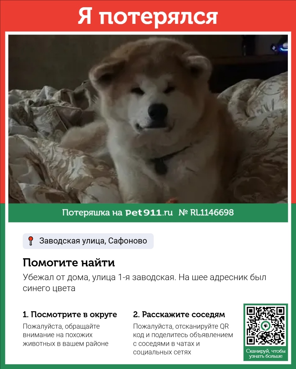 Пропала собака в Смоленске — фото объявления