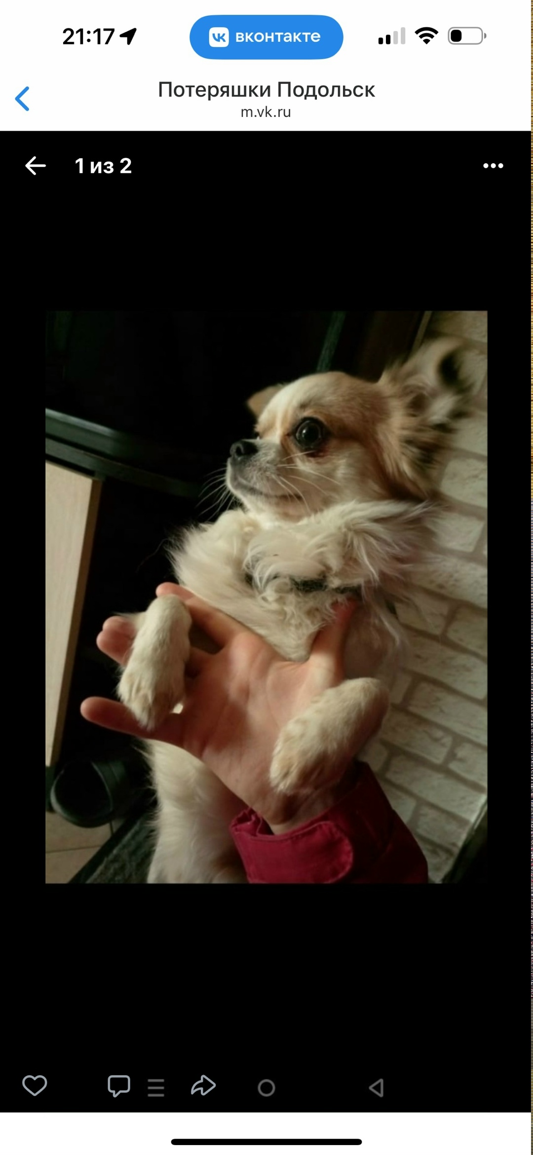 Пропала собака в Подольске — фото объявления