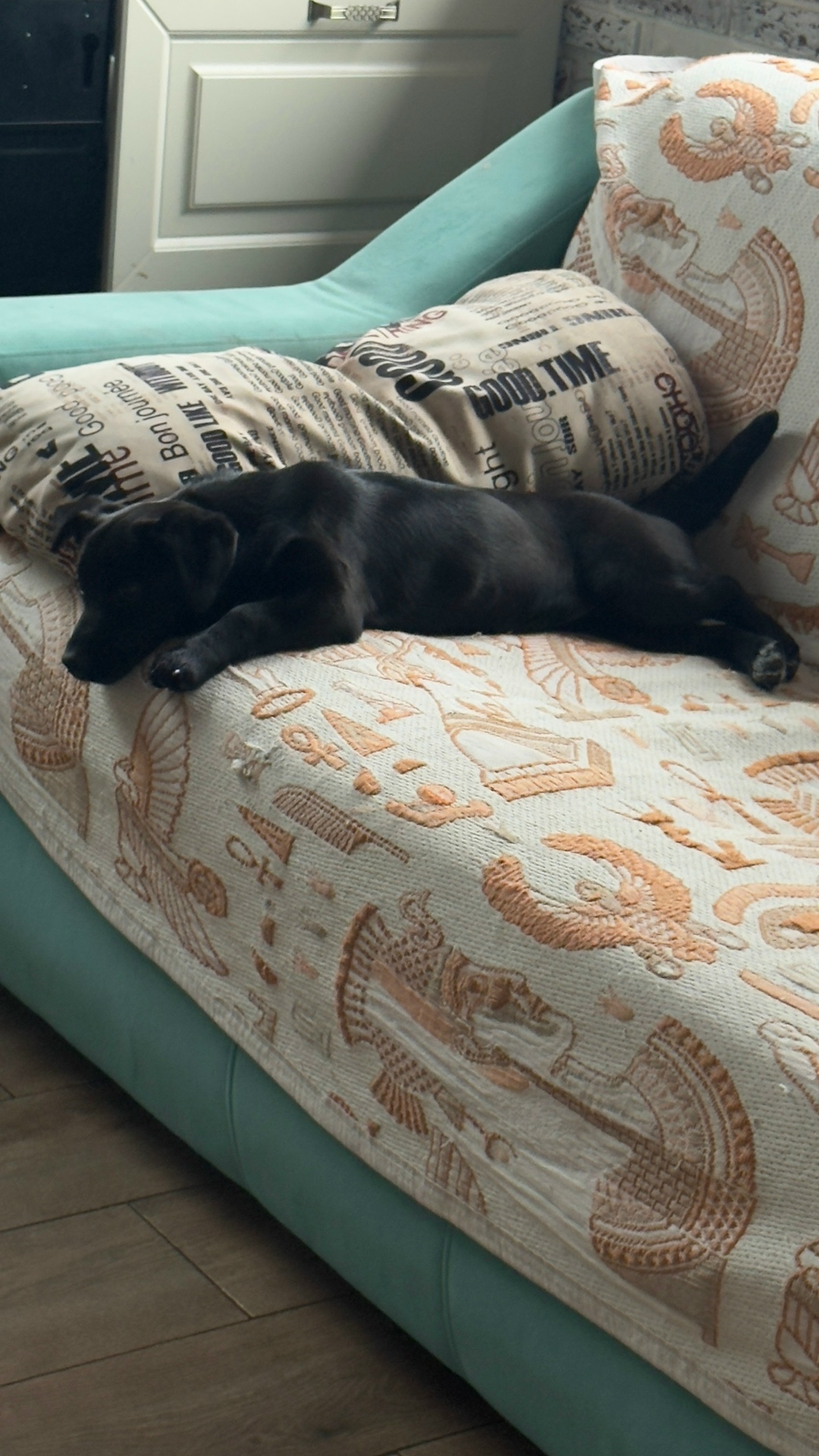 Пропала собака в Саранске — фото объявления