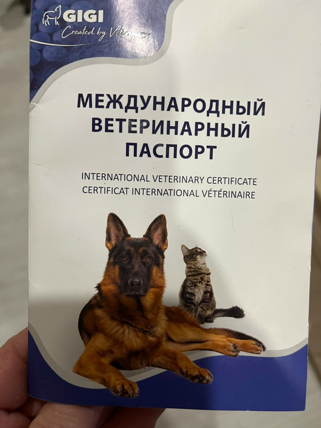 Найдена собака в Саранске — фото объявления