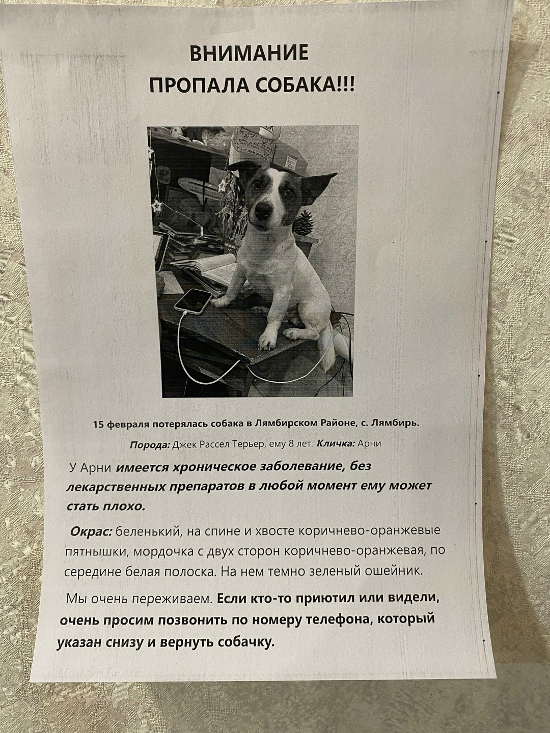 Пропала собака в Саранске — фото объявления