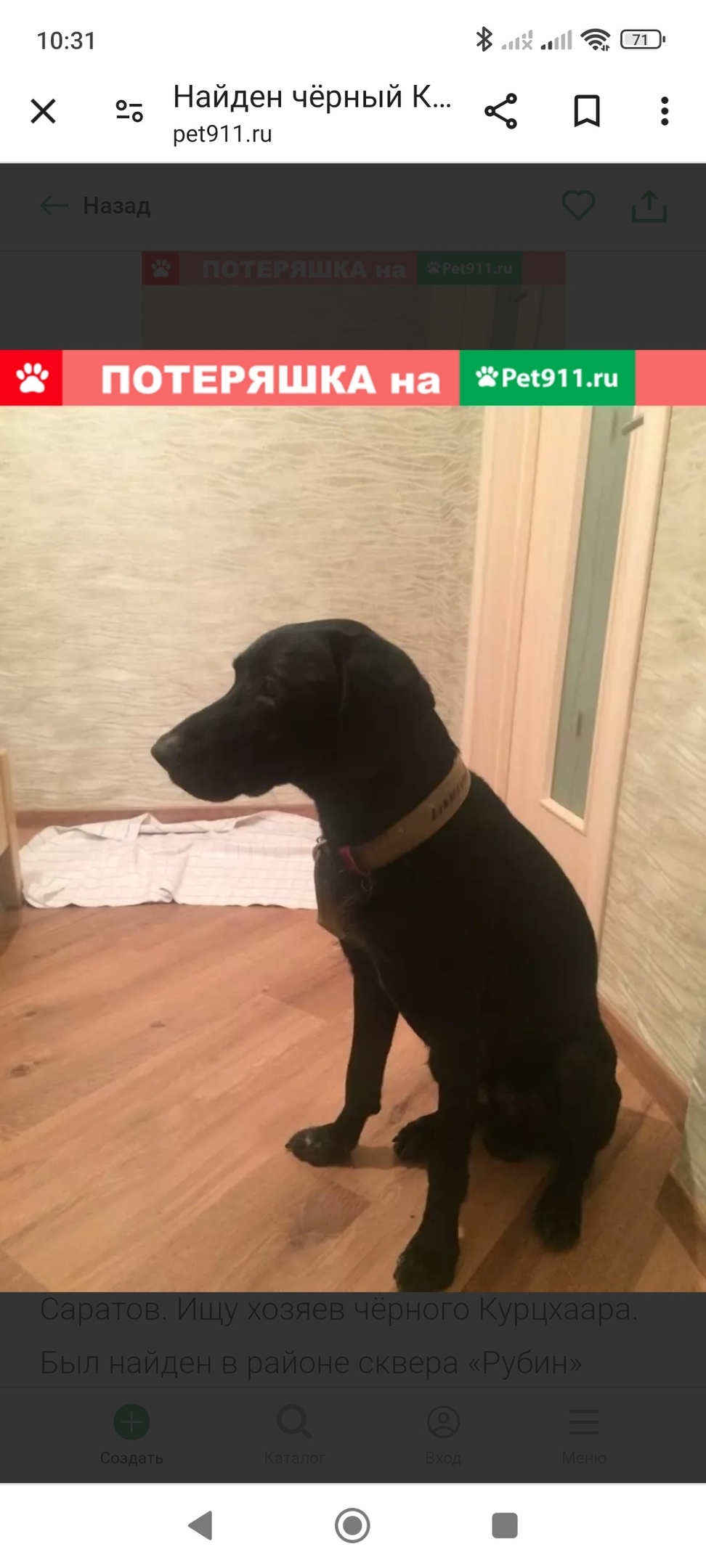 Пропала собака в Кургане — фото объявления