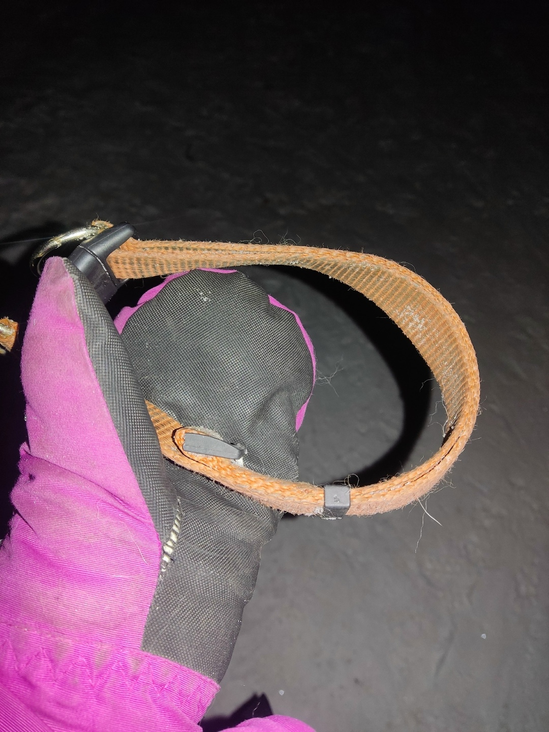 Пропала собака в Череповце — фото объявления