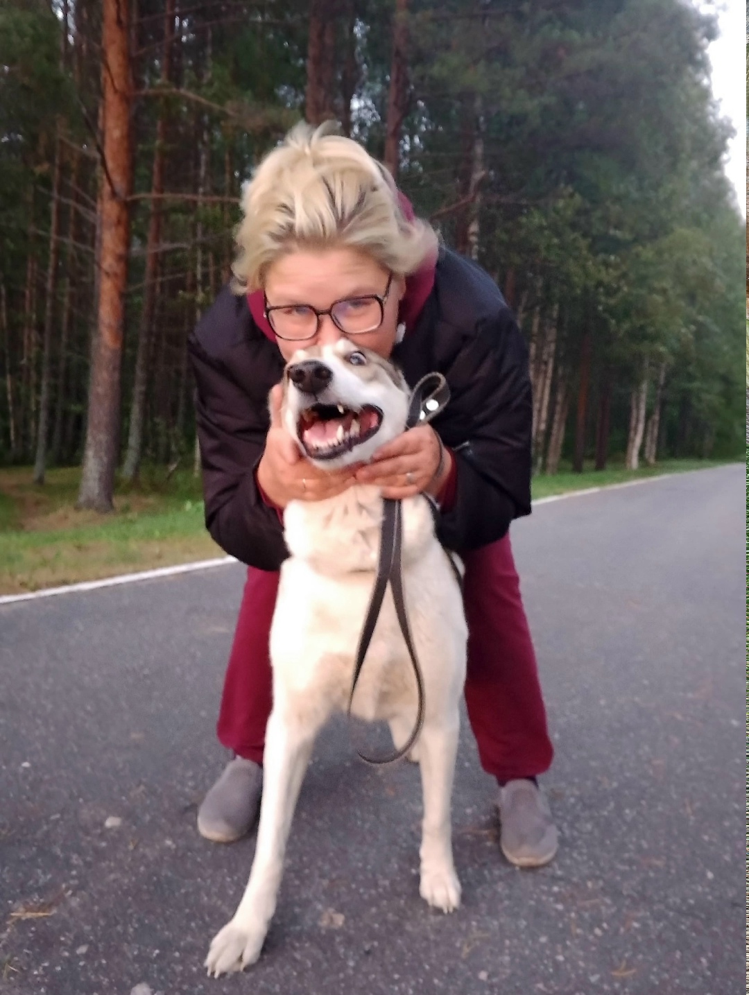 Найдена собака в Архангельске — фото объявления