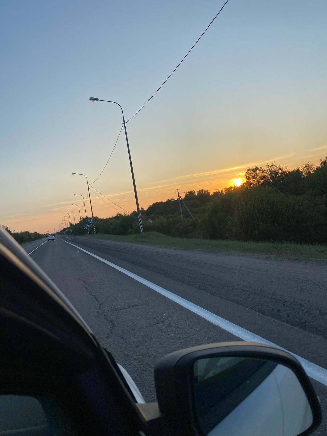 Найдена собака в Архангельске — фото объявления