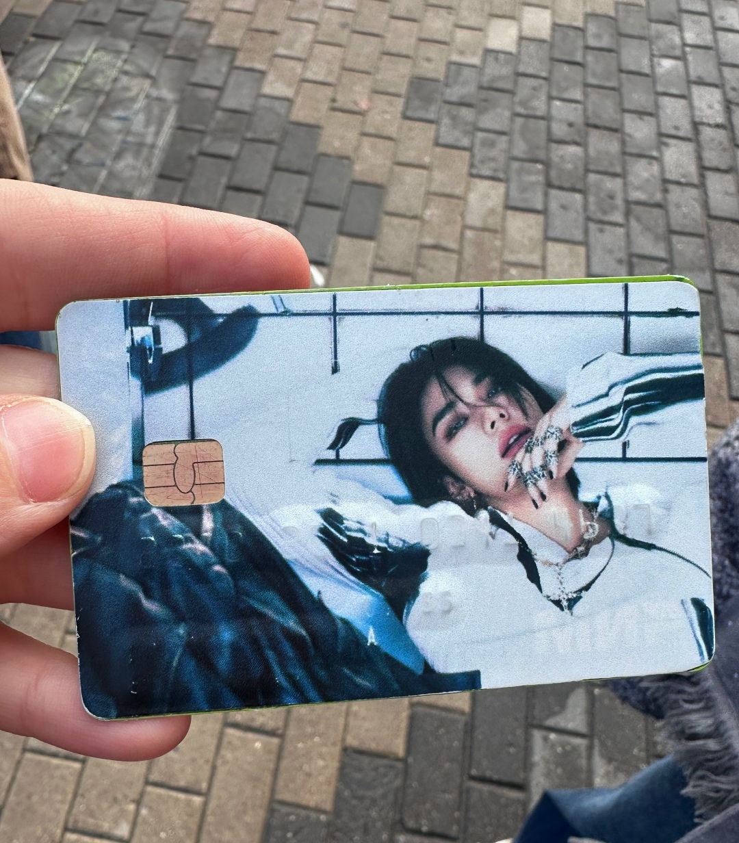 Найдена собака в Архангельске — фото объявления