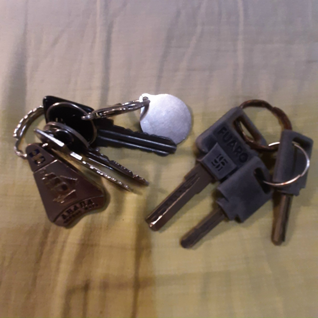 Найдена собака в Архангельске — фото объявления