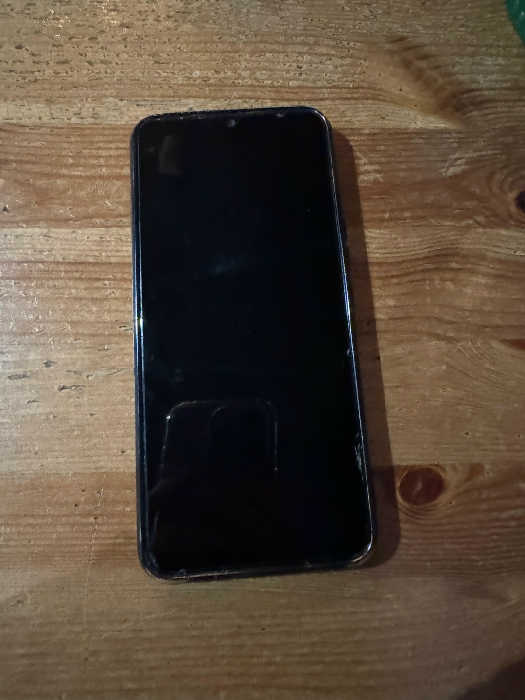 Найдена собака в Архангельске — фото объявления