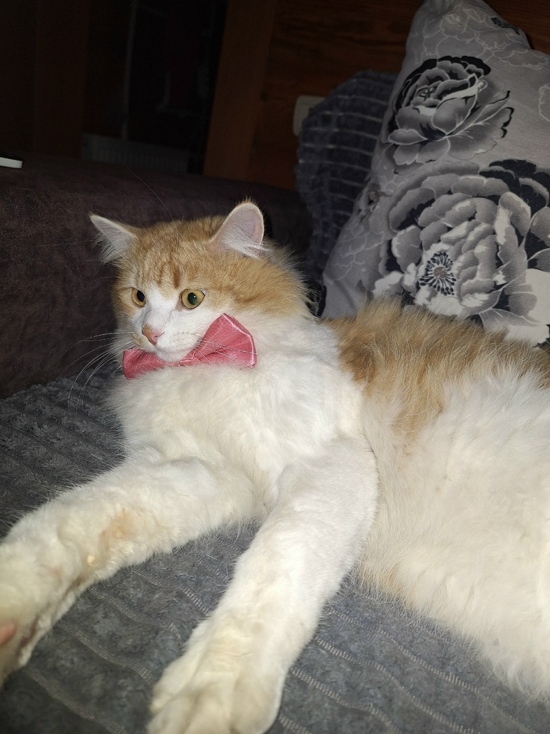 Пропала кошка в Стерлитамаке — фото объявления