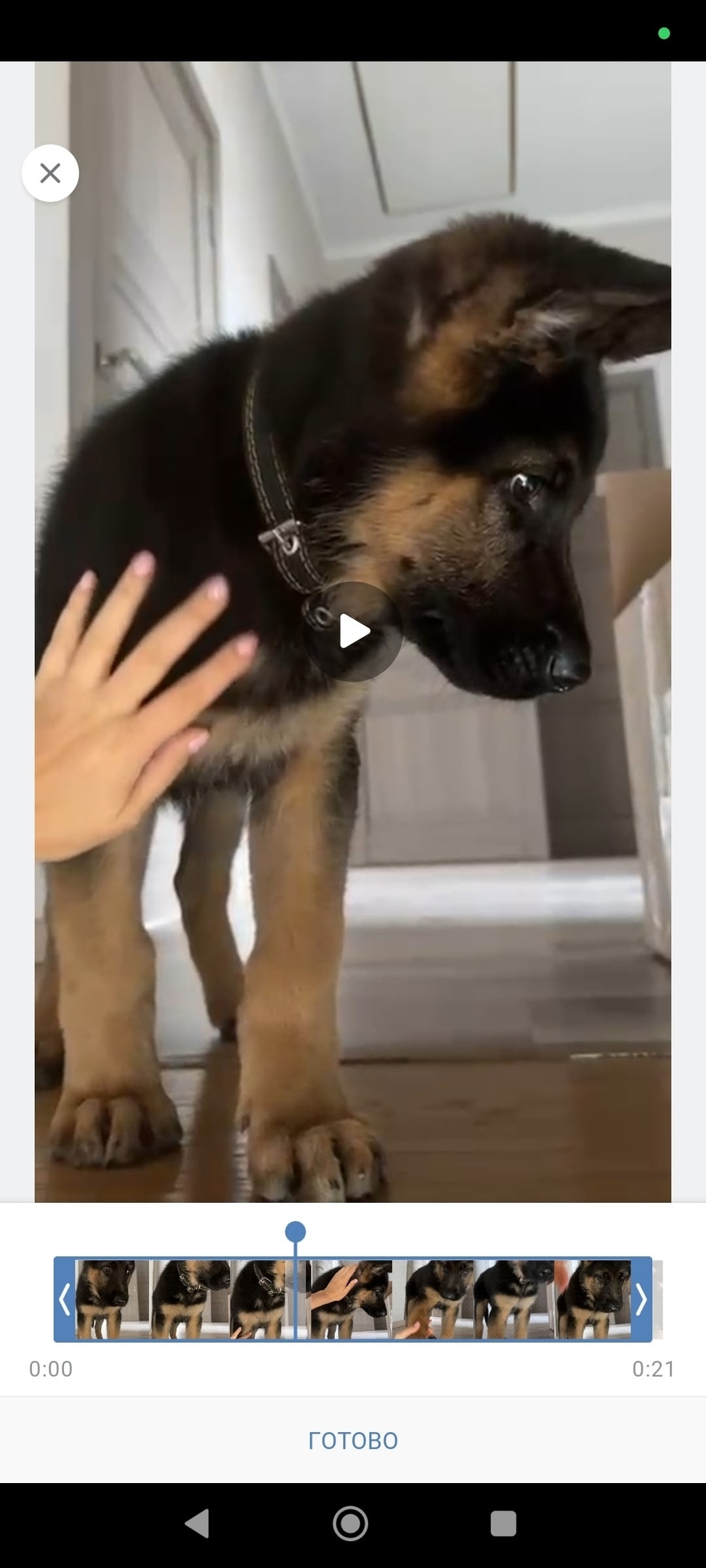 Пропала собака в Стерлитамаке — фото объявления