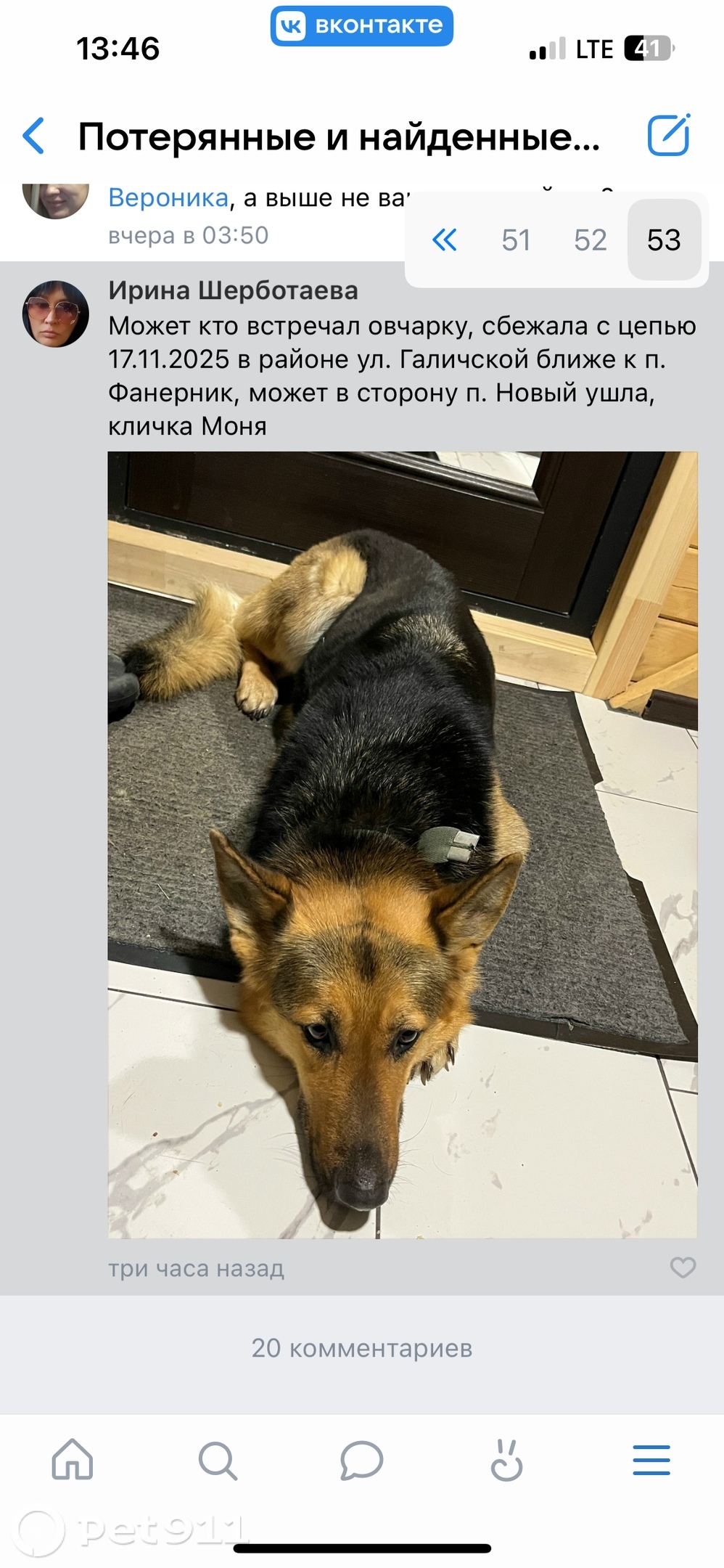 Пропала собака в Костроме — фото объявления