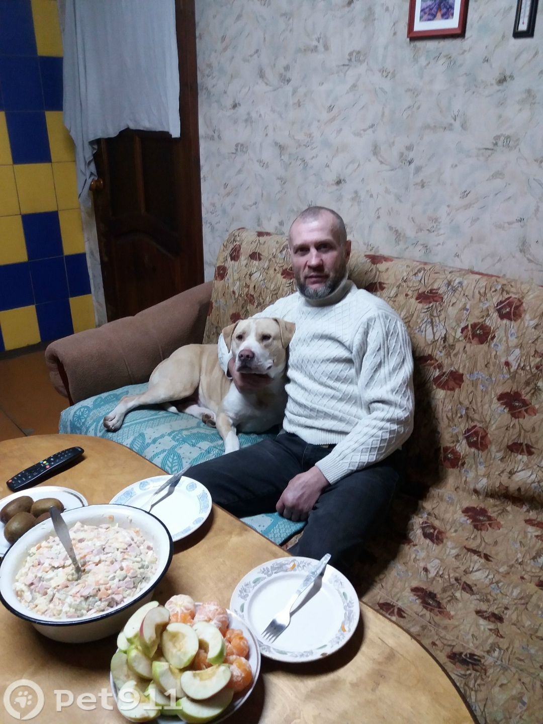 Пропала собака в Костроме — фото объявления