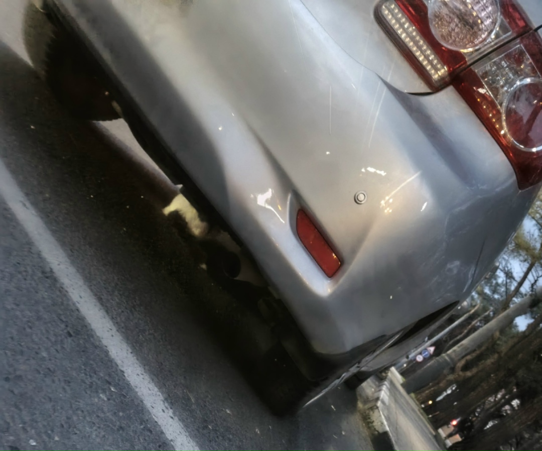 Пропала кошка в Новороссийске — фото объявления