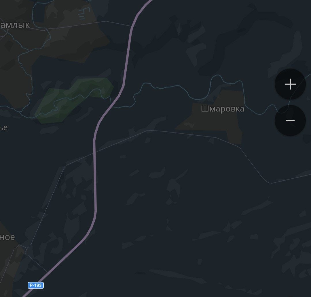 Найдена собака в Тамбове — фото объявления