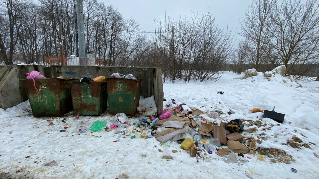 Найдена собака в Тамбове — фото объявления