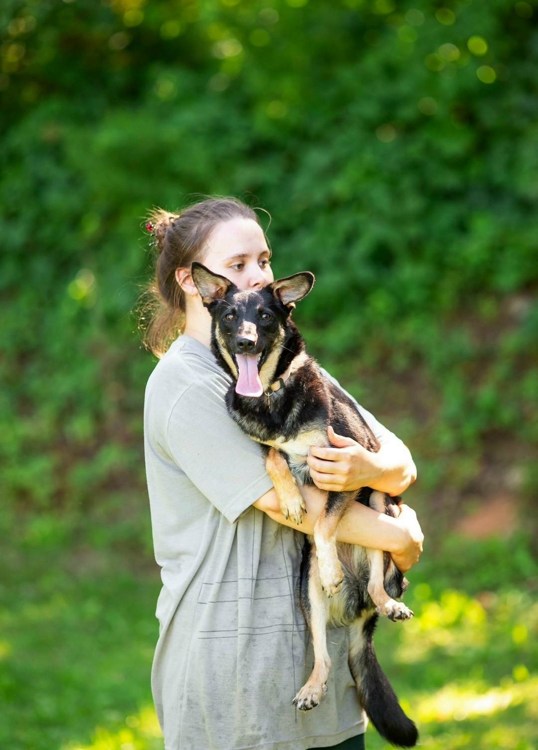 Найдена собака в Тамбове — фото объявления