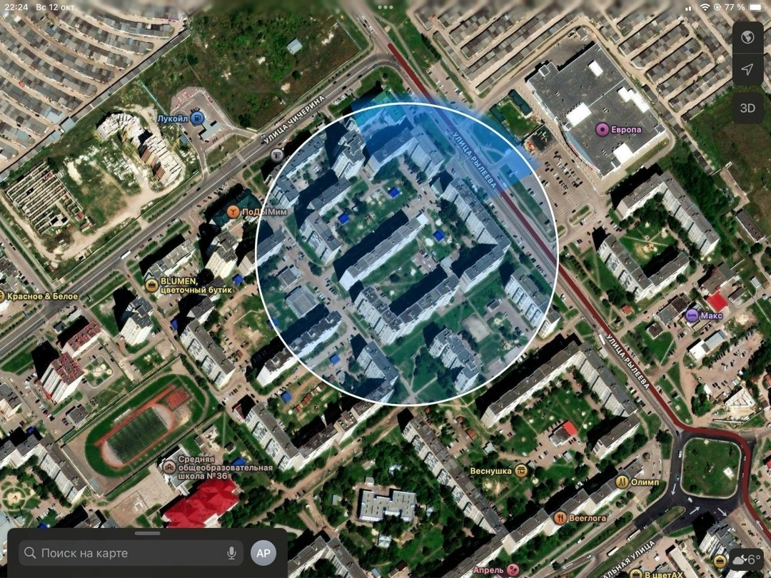 Найдена собака в Тамбове — фото объявления