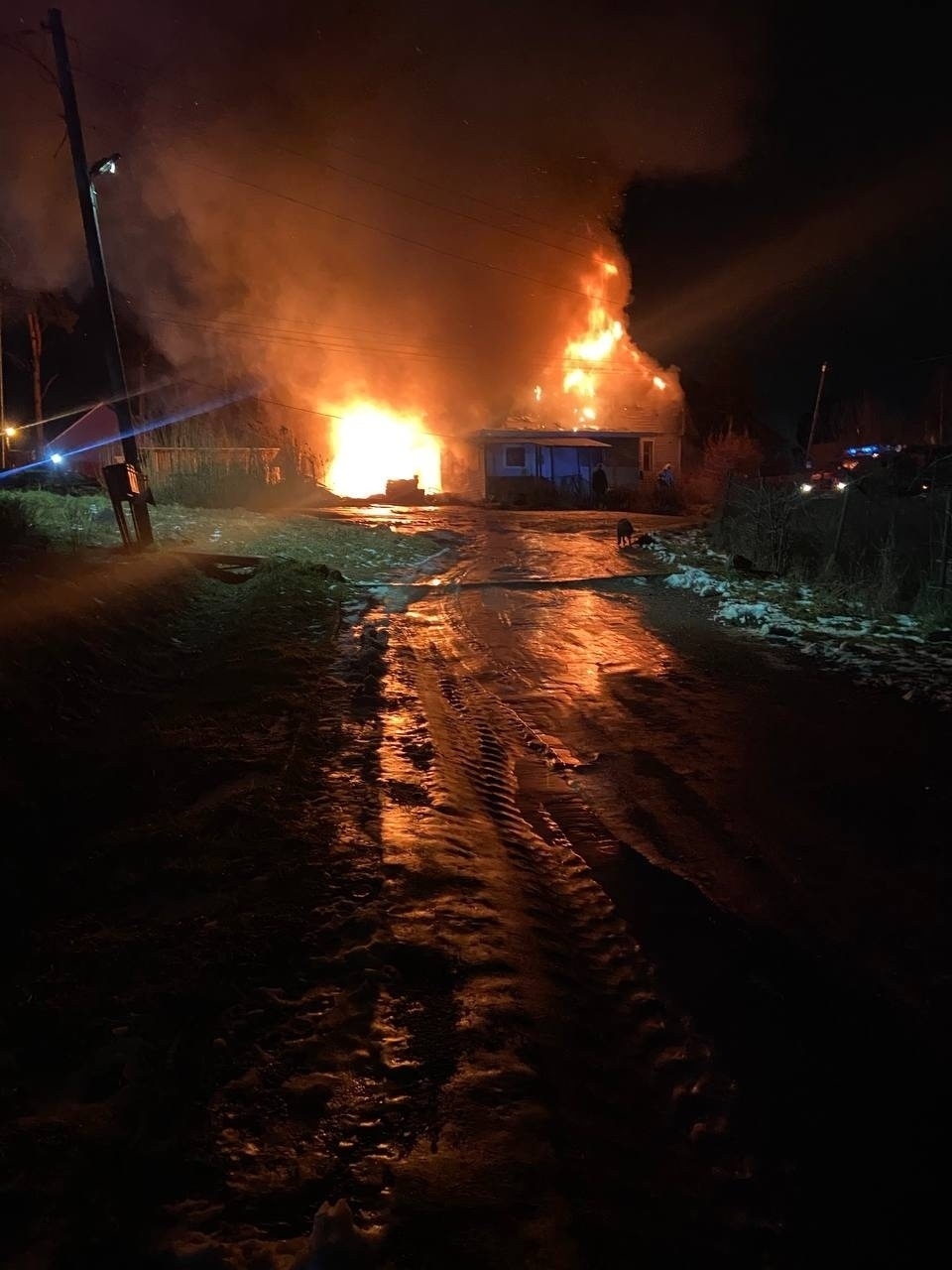 Найдена собака в Петрозаводске — фото объявления