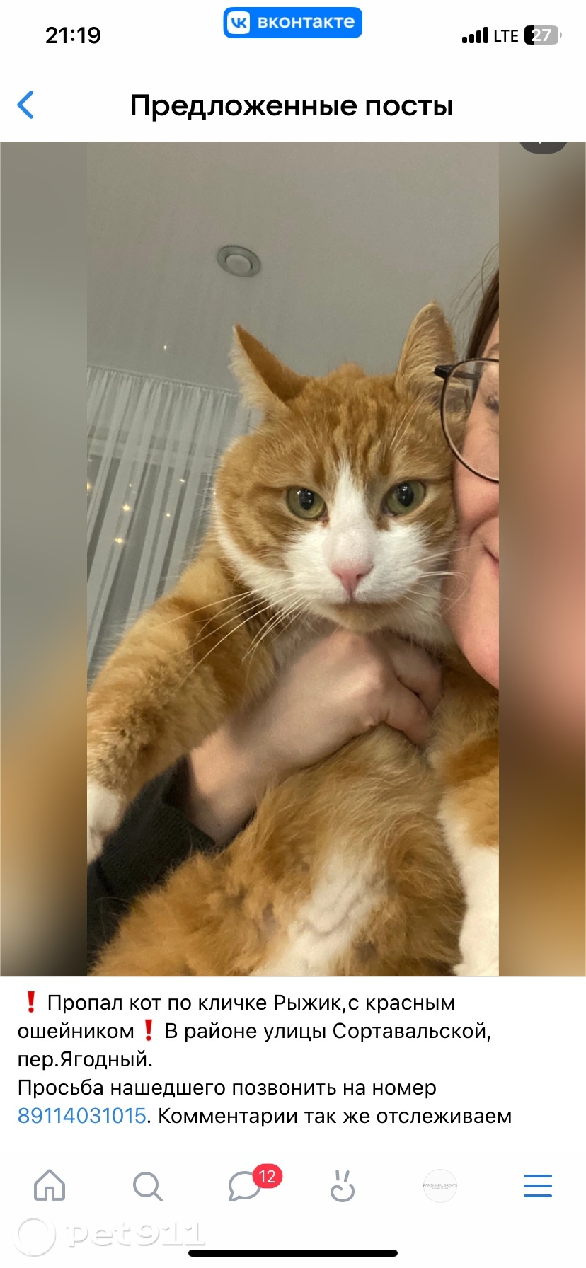 Пропала кошка в Петрозаводске — фото объявления