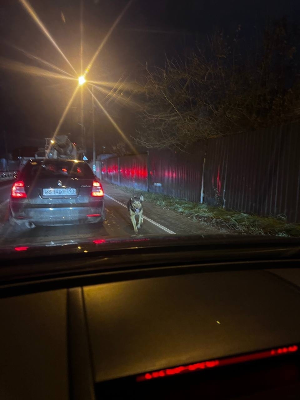 Пропала собака в Одинцове — фото объявления
