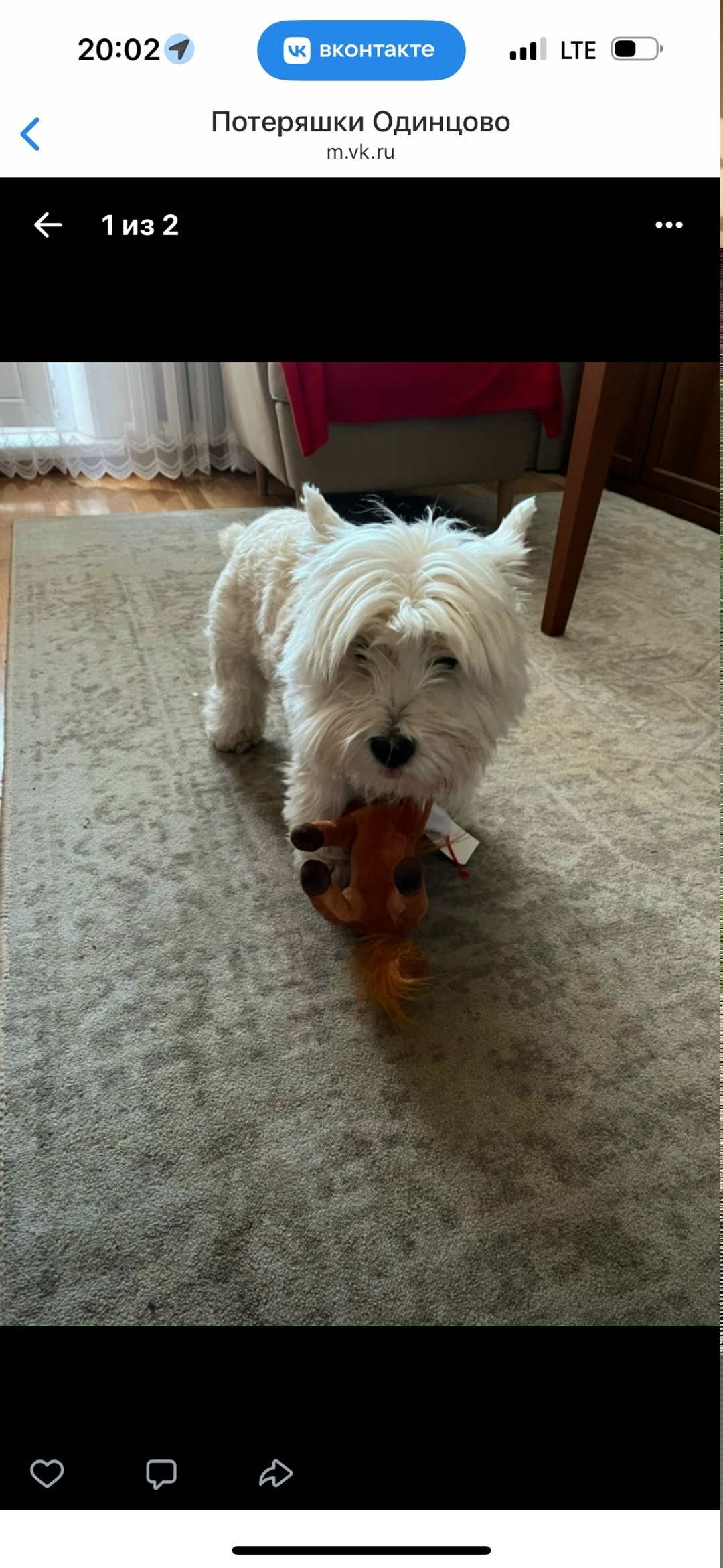 Пропала собака в Одинцове — фото объявления