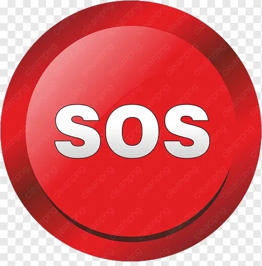 Найдена кошка в Энгельсе — фото объявления