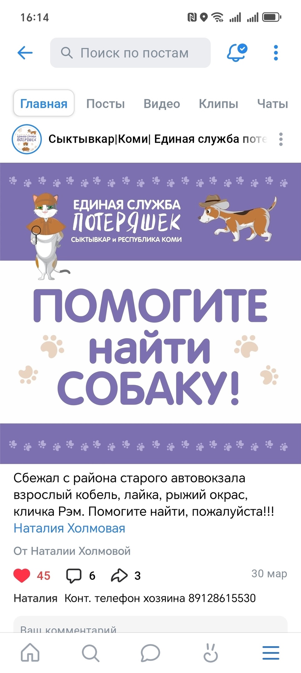 Найдена собака в Сыктывкаре — фото объявления