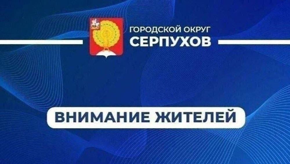 Найдена собака в Серпухове — фото объявления