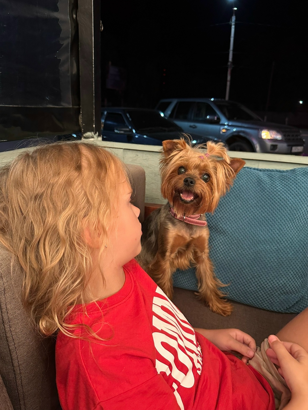 Пропала собака в Серпухове — фото объявления