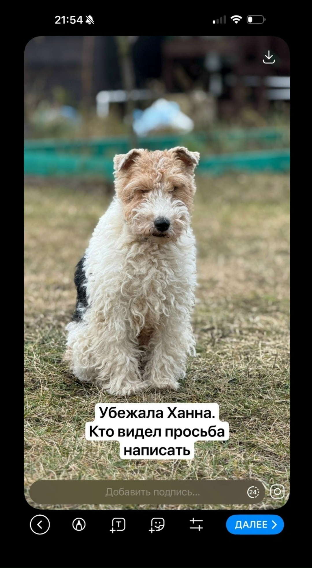 Пропала собака в Раменском — фото объявления