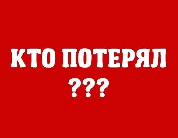 Найдена собака в Орехово-Зуеве — фото объявления
