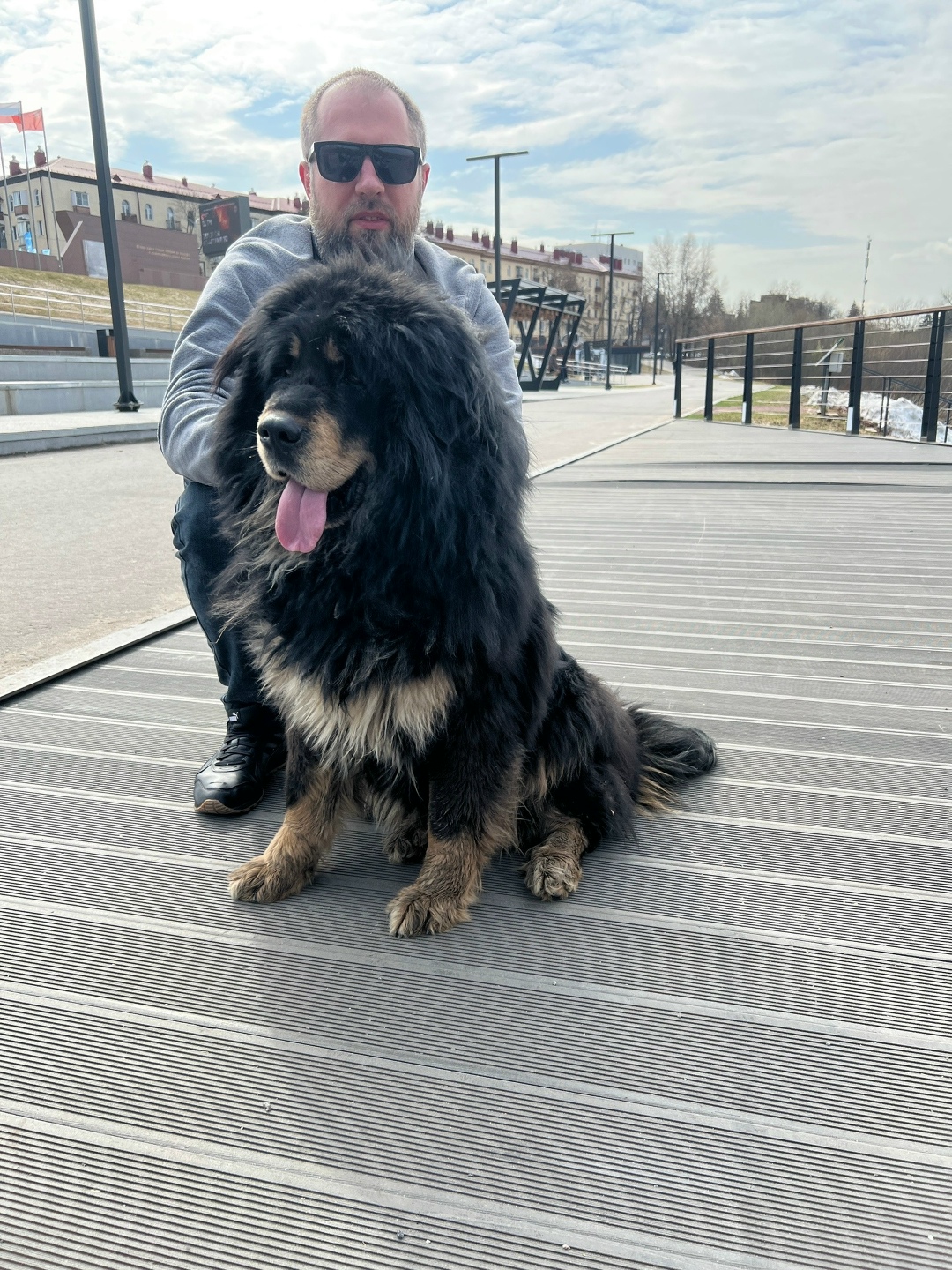 Найдена собака в Жуковском — фото объявления